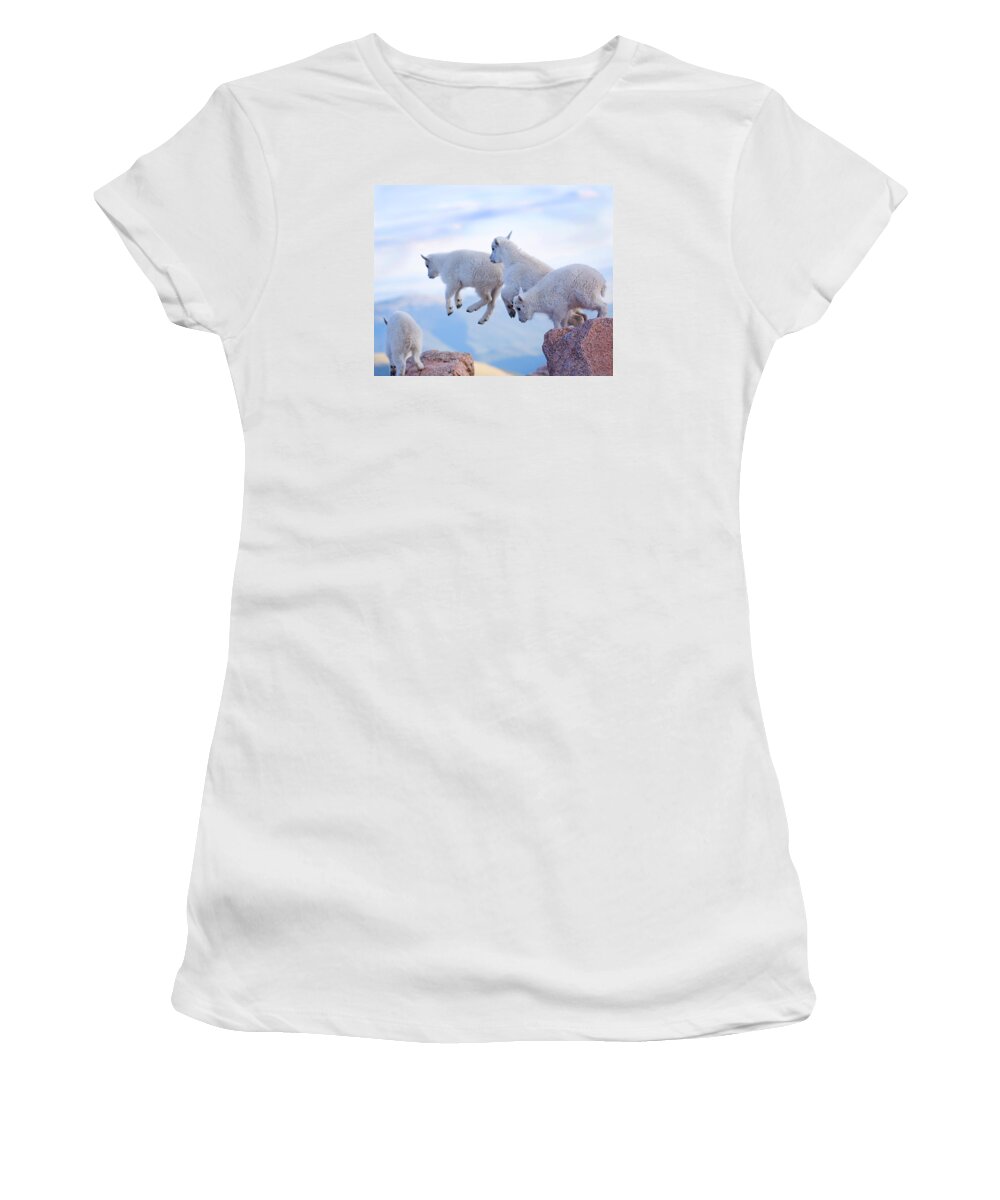 Mountain Goats; Posing; Group Photo; Baby Goat; Nature; Colorado; Crowd; Baby Goat; Mountain Goat Baby; Happy; Joy; Nature; Brothers Women's T-Shirt featuring the photograph Follow the Leader by Jim Garrison