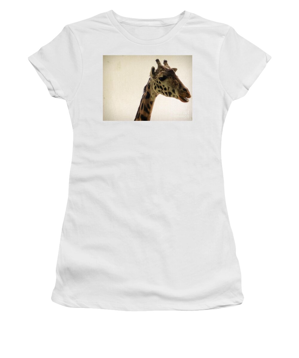 Wildlife Women's T-Shirt featuring the photograph Giraffe 2 by Andrea Anderegg