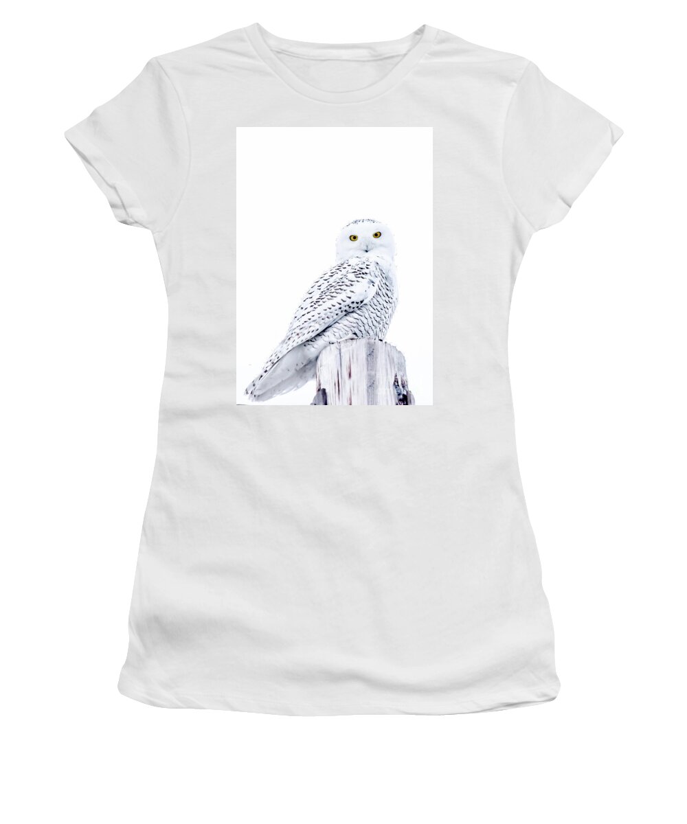 Field Women's T-Shirt featuring the photograph Gorgeous Snowy Owl by Cheryl Baxter