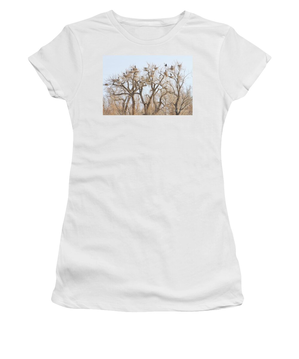 Animals Women's T-Shirt featuring the photograph Great Blue Heron Colony by James BO Insogna