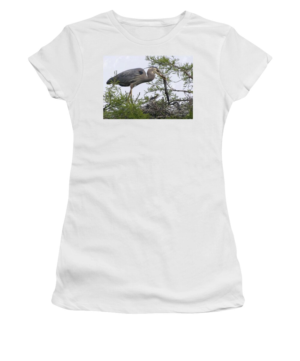 Birds Women's T-Shirt featuring the photograph Great Blue Heron Feeding It's Chicks by Kathy Baccari