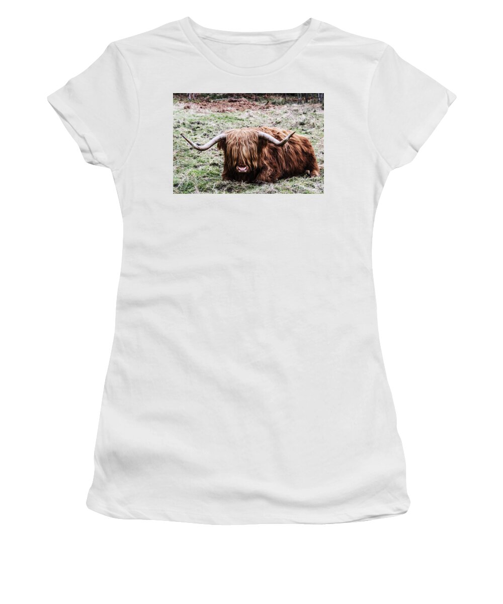 Travel Women's T-Shirt featuring the photograph Hairy Cow by Elvis Vaughn