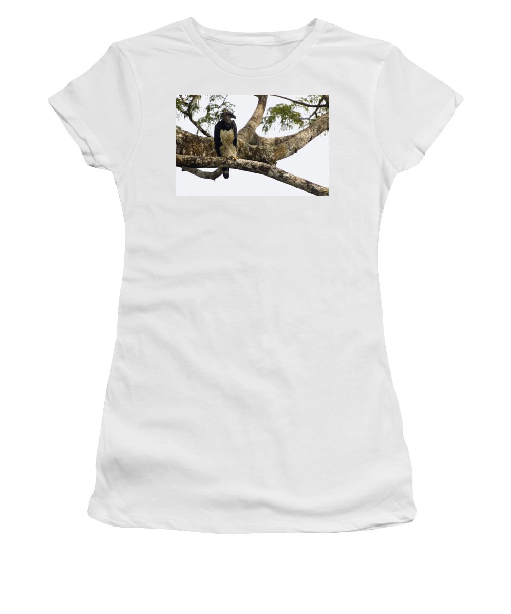 Feb0514 Women's T-Shirt featuring the photograph Harpy Eagle In Kapok Tree by Pete Oxford