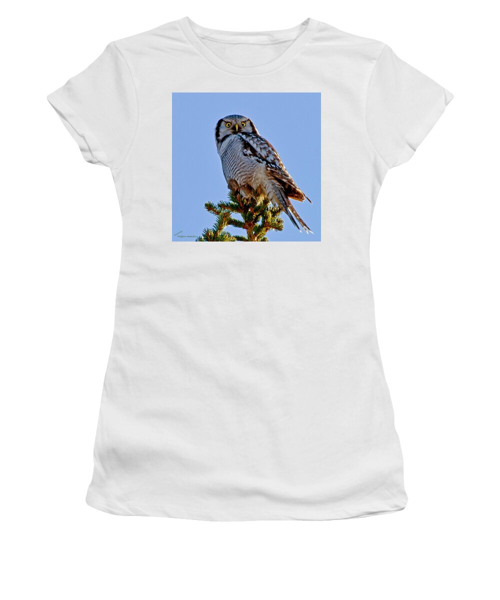 Hawk Owl Square Women's T-Shirt featuring the photograph Hawk Owl square by Torbjorn Swenelius