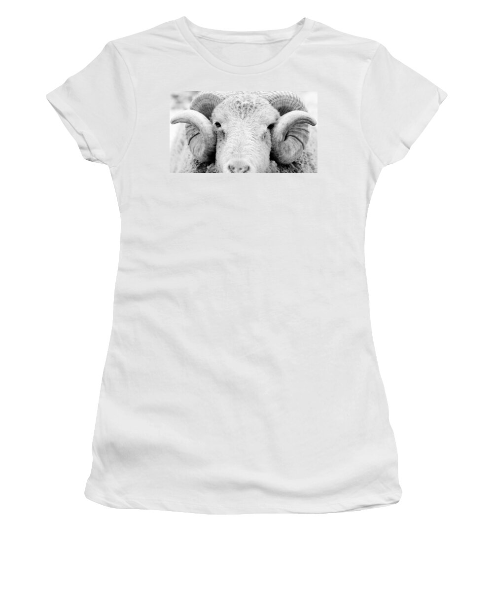 Ram Women's T-Shirt featuring the photograph How Ewe Doin by Courtney Webster