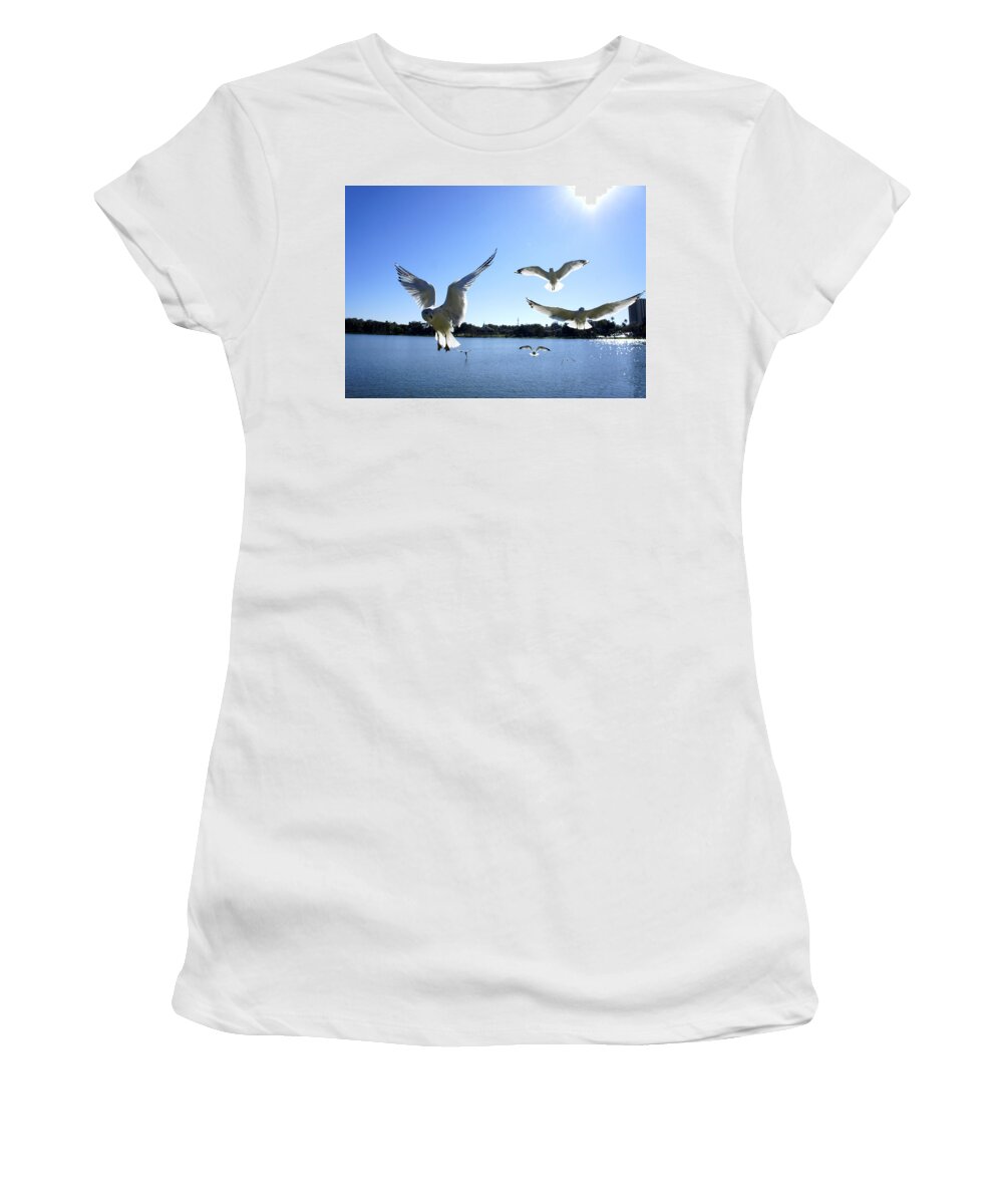 Seagull Women's T-Shirt featuring the photograph In Flight by Laurie Perry