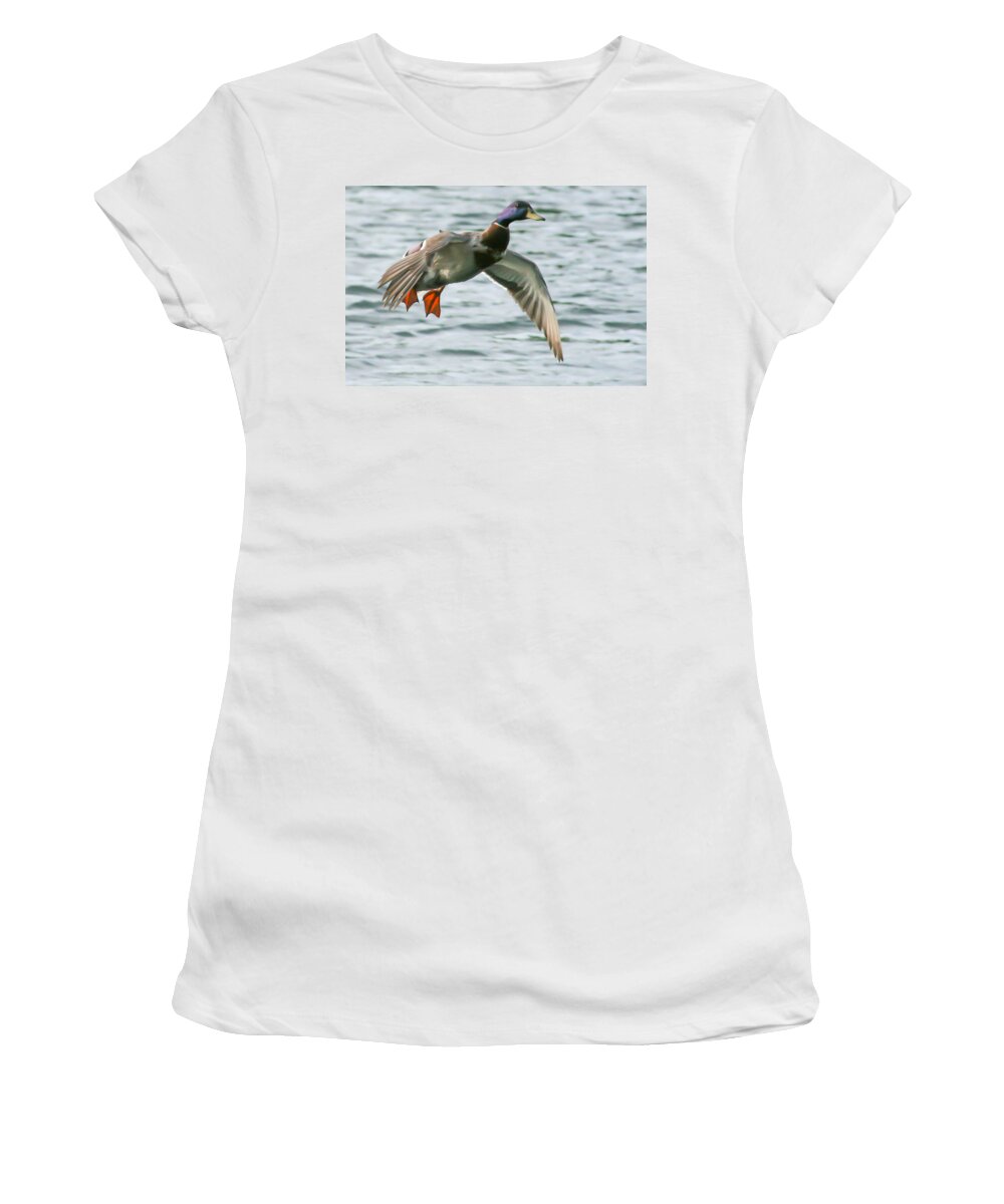 Duck Women's T-Shirt featuring the photograph In For A Landing by Jeff Mize