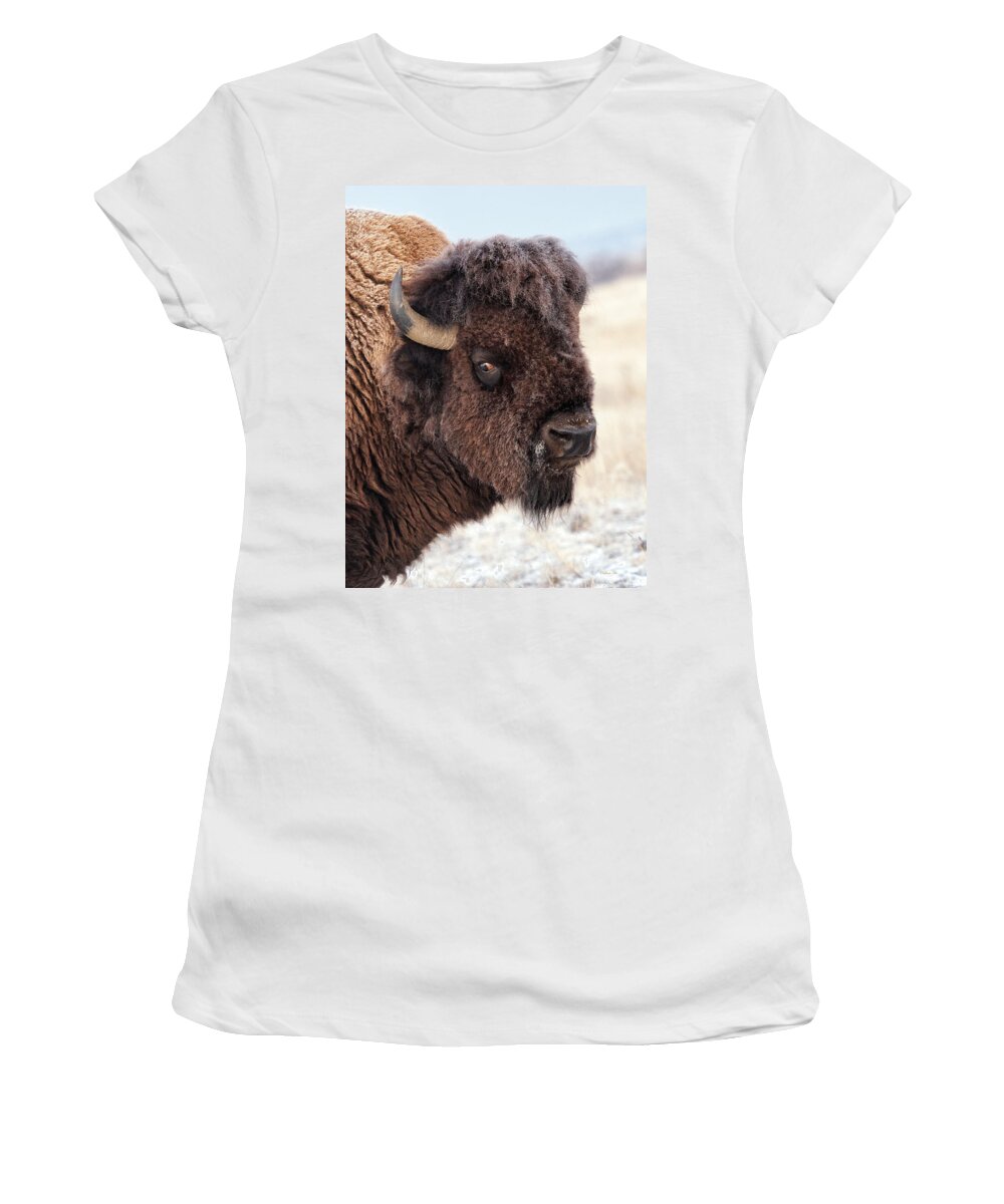 Olena Art Women's T-Shirt featuring the photograph In the Presence of Bison - 2 by Lena Owens - OLena Art Vibrant Palette Knife and Graphic Design