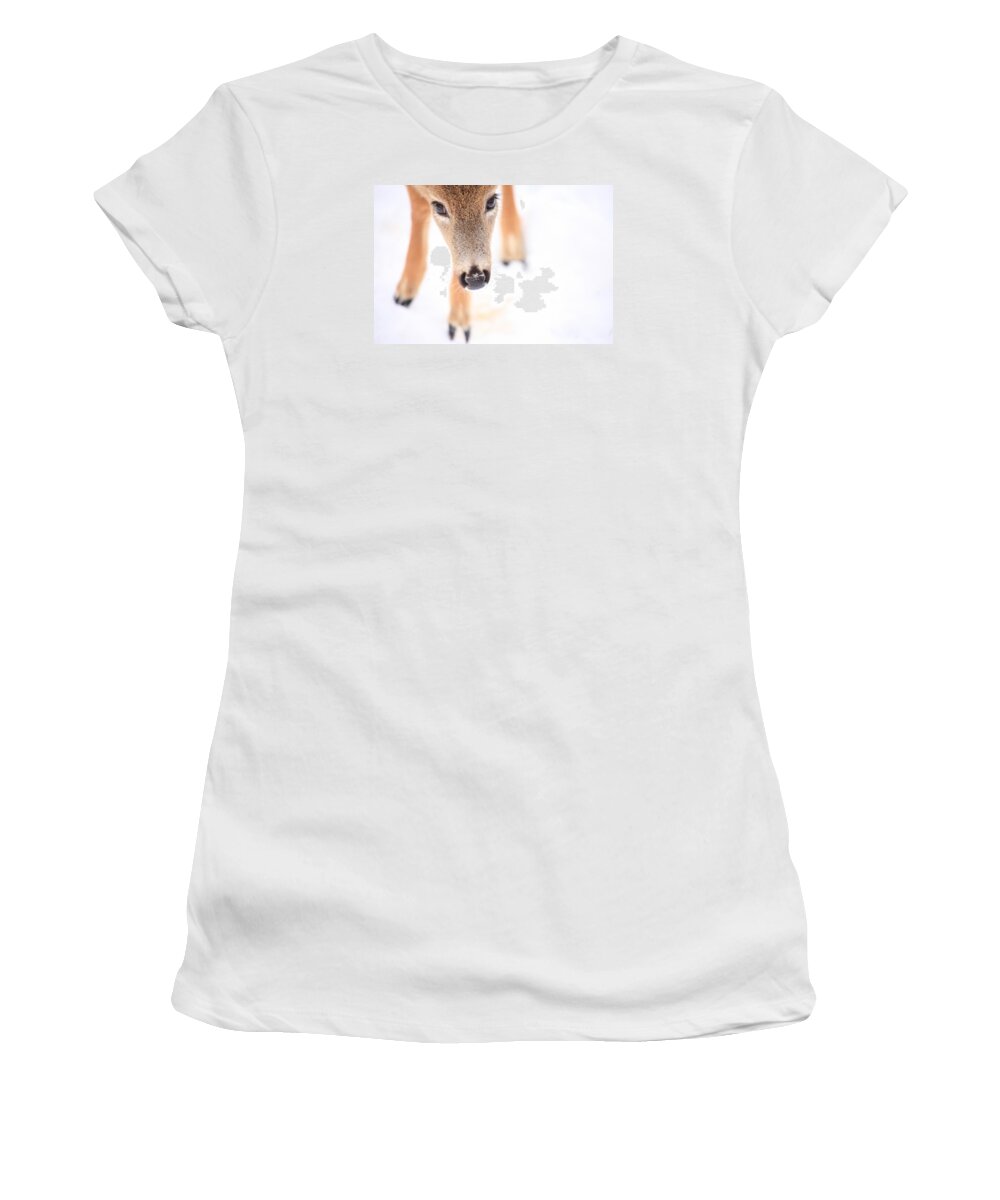 Deer Women's T-Shirt featuring the photograph Innocent Eyes by Karol Livote