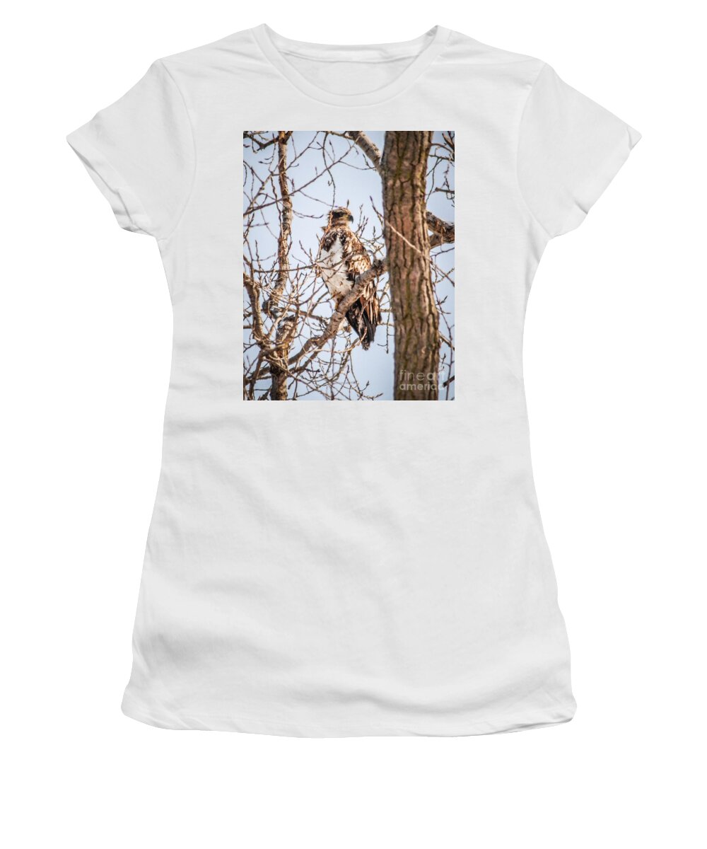 Eagle Women's T-Shirt featuring the photograph Juvenile Eagle by Grace Grogan