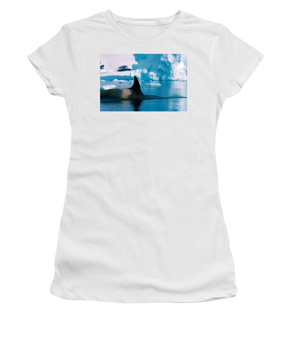 Killer Whale Women's T-Shirt featuring the photograph Killer Whale by Art Wolfe