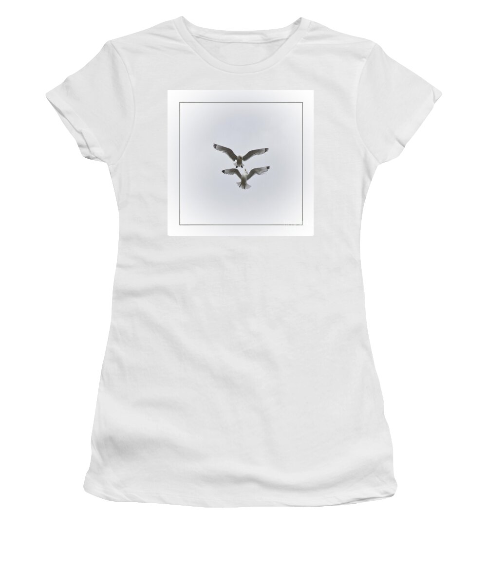 Seagull Women's T-Shirt featuring the photograph Kittiwakes Dancing in the Air by Heiko Koehrer-Wagner