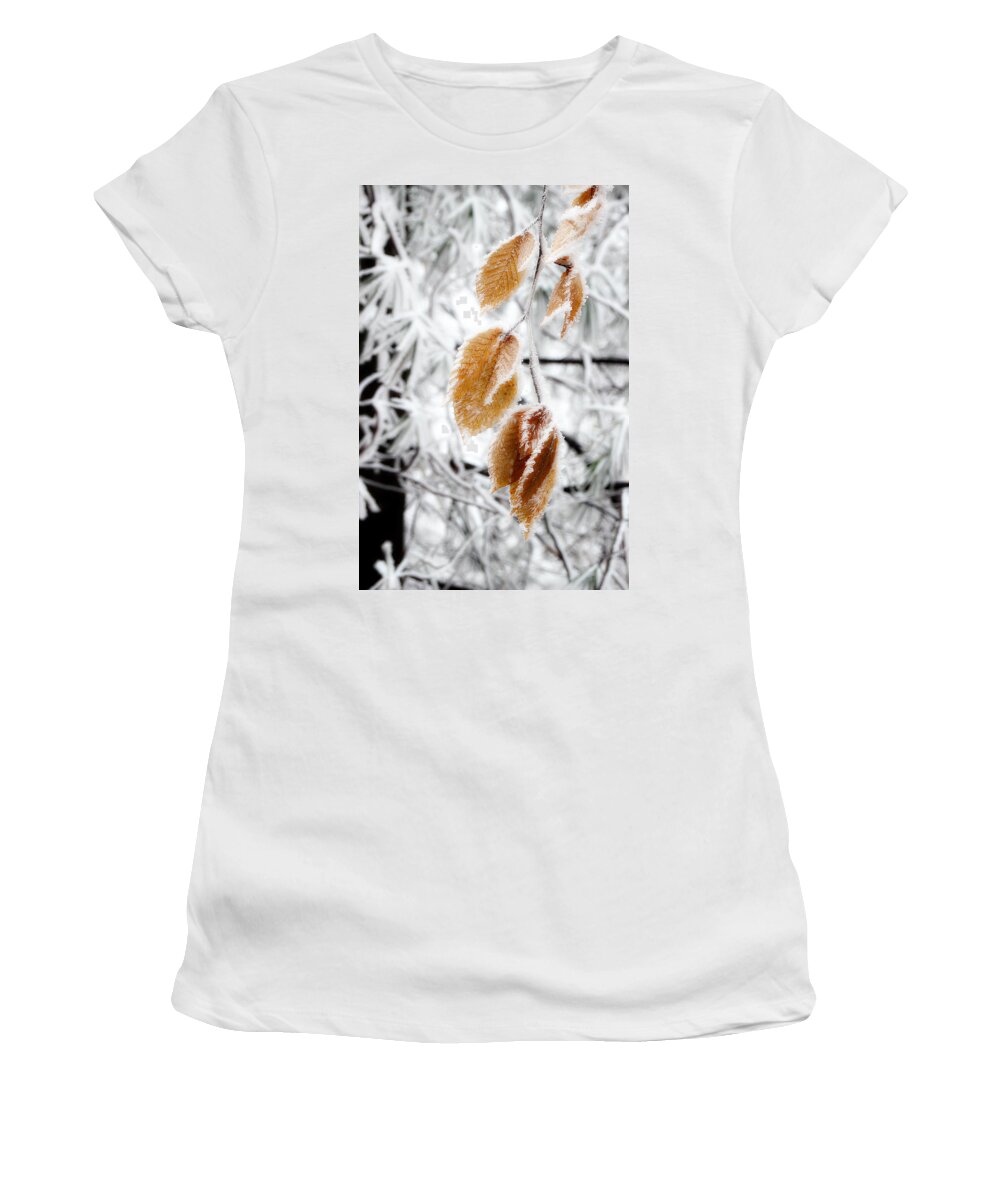 Snow Leaves Women's T-Shirt featuring the photograph Leaves In The Frost by Michael Eingle