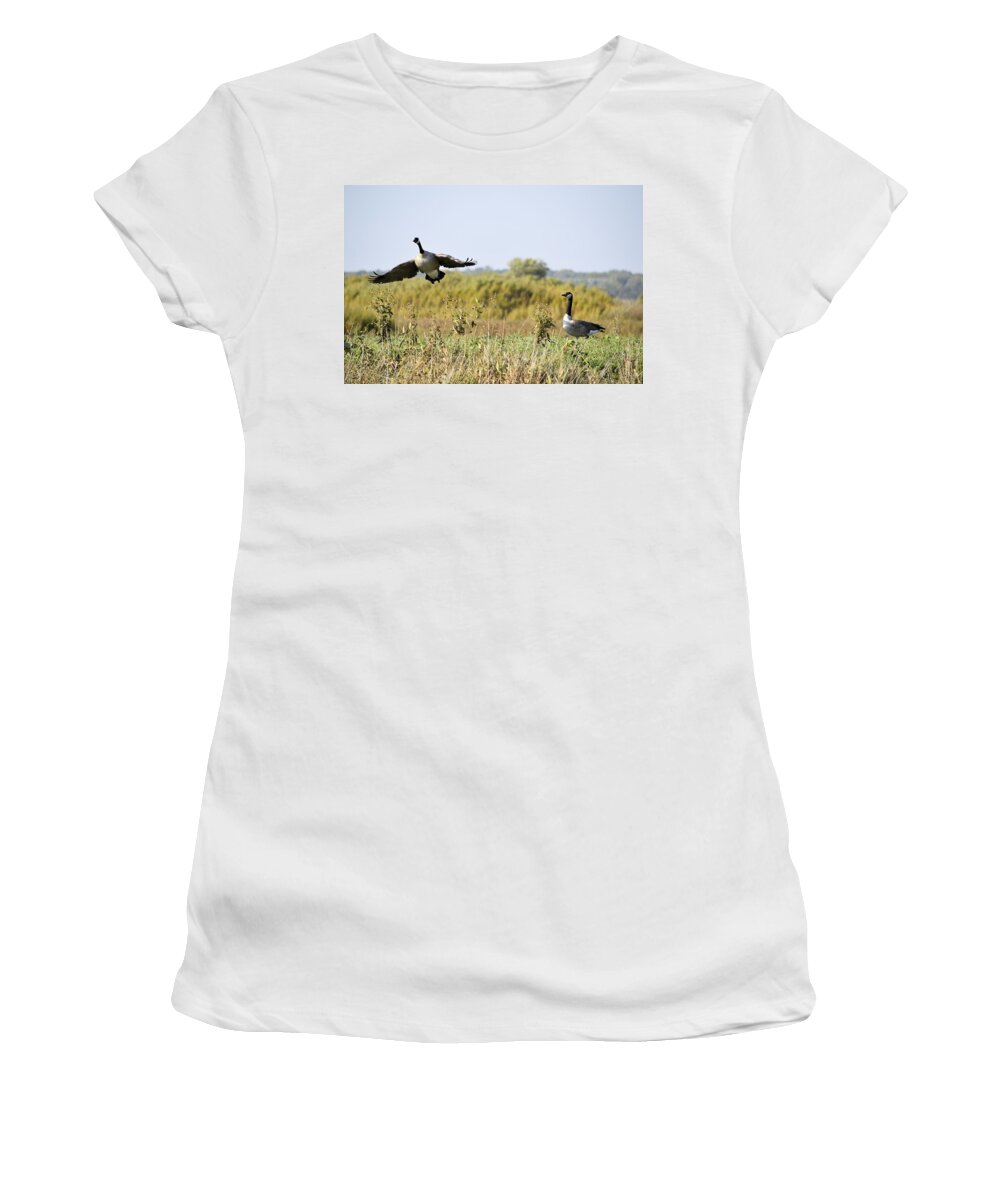 Goose Women's T-Shirt featuring the photograph Left Behind by Bonfire Photography