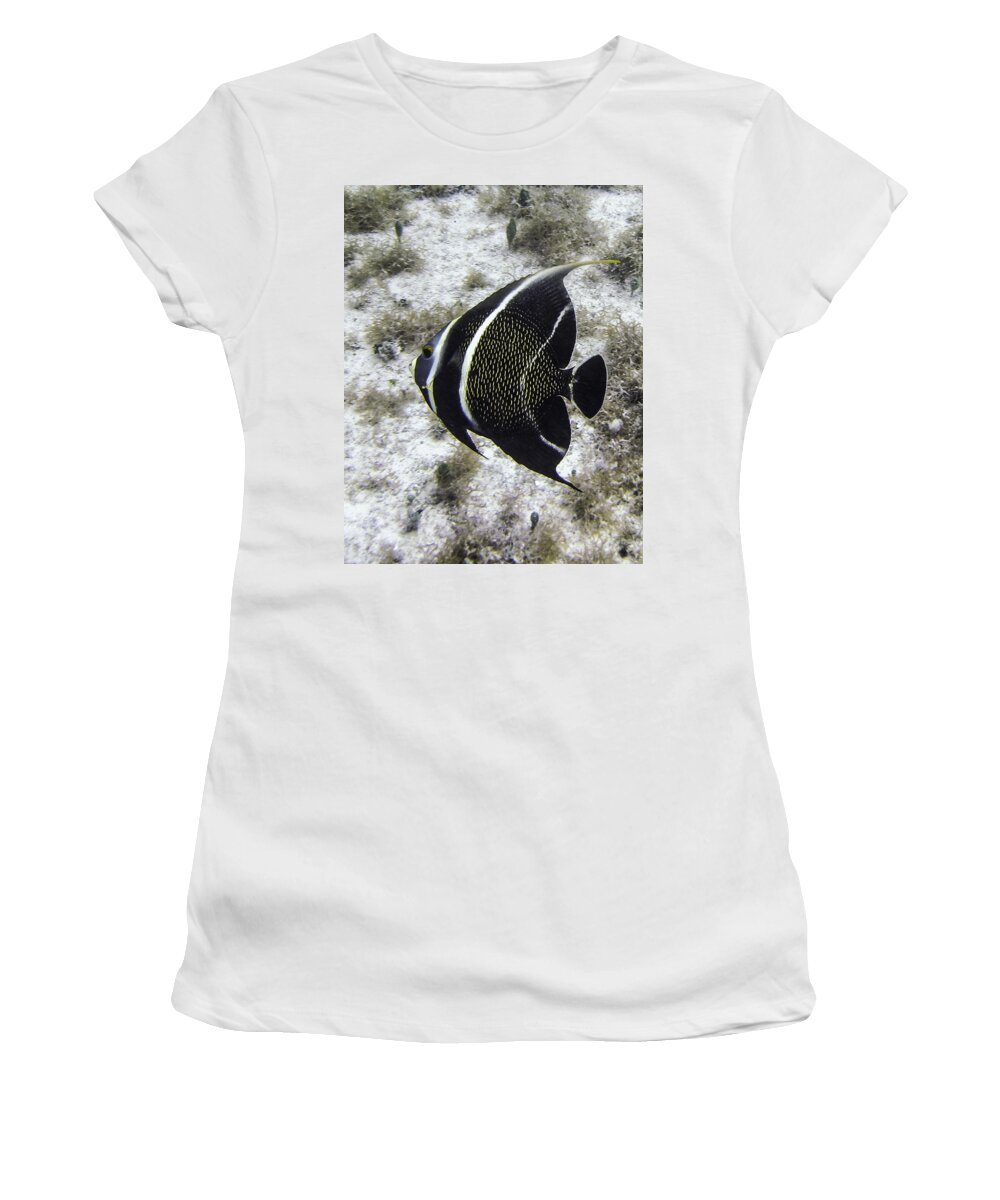 Fish Women's T-Shirt featuring the photograph Left Turn by Lynne Browne