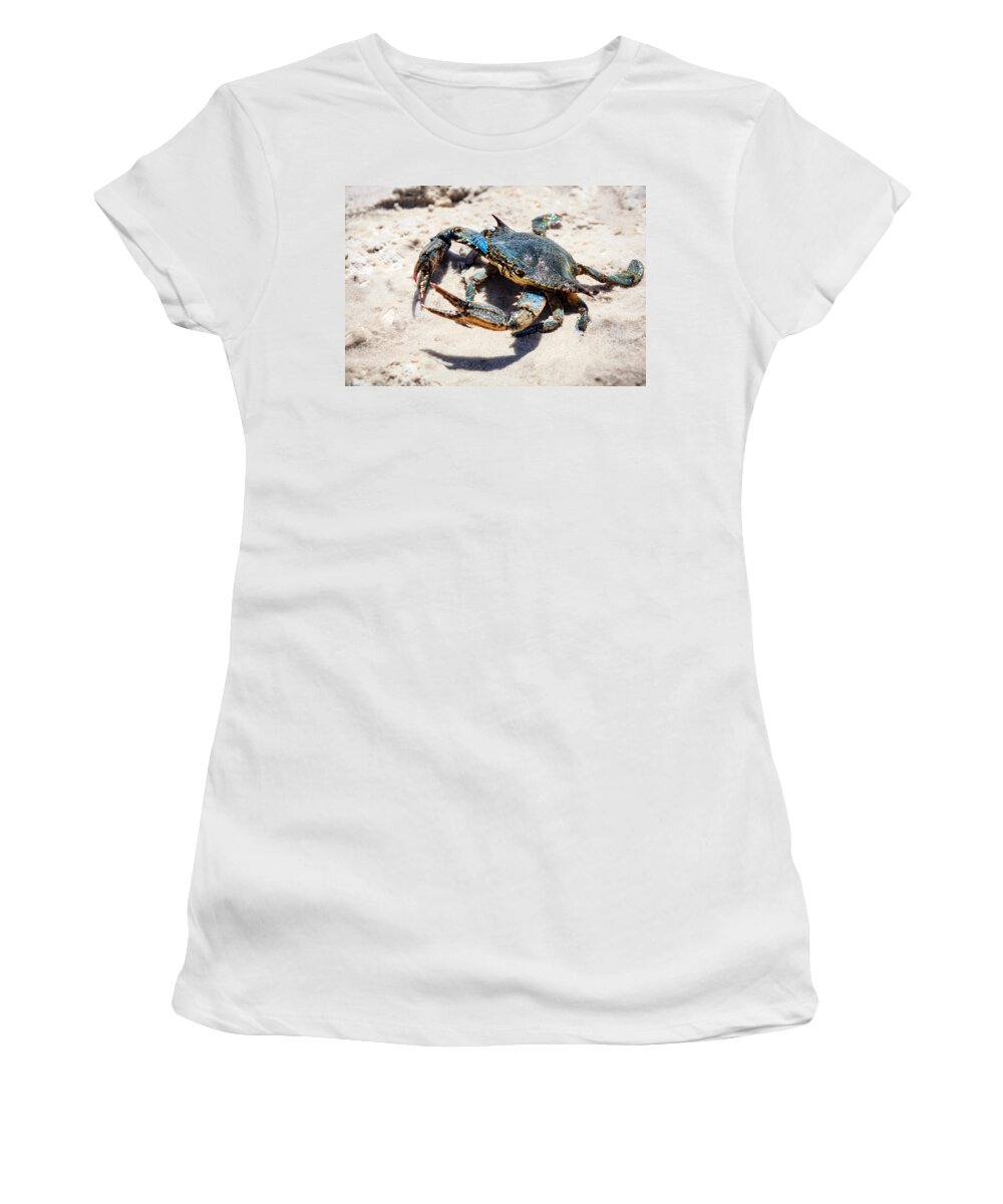 Blue Crabs Are 10 Inches (25cm) In Length Women's T-Shirt featuring the photograph Let's Dance by Sennie Pierson