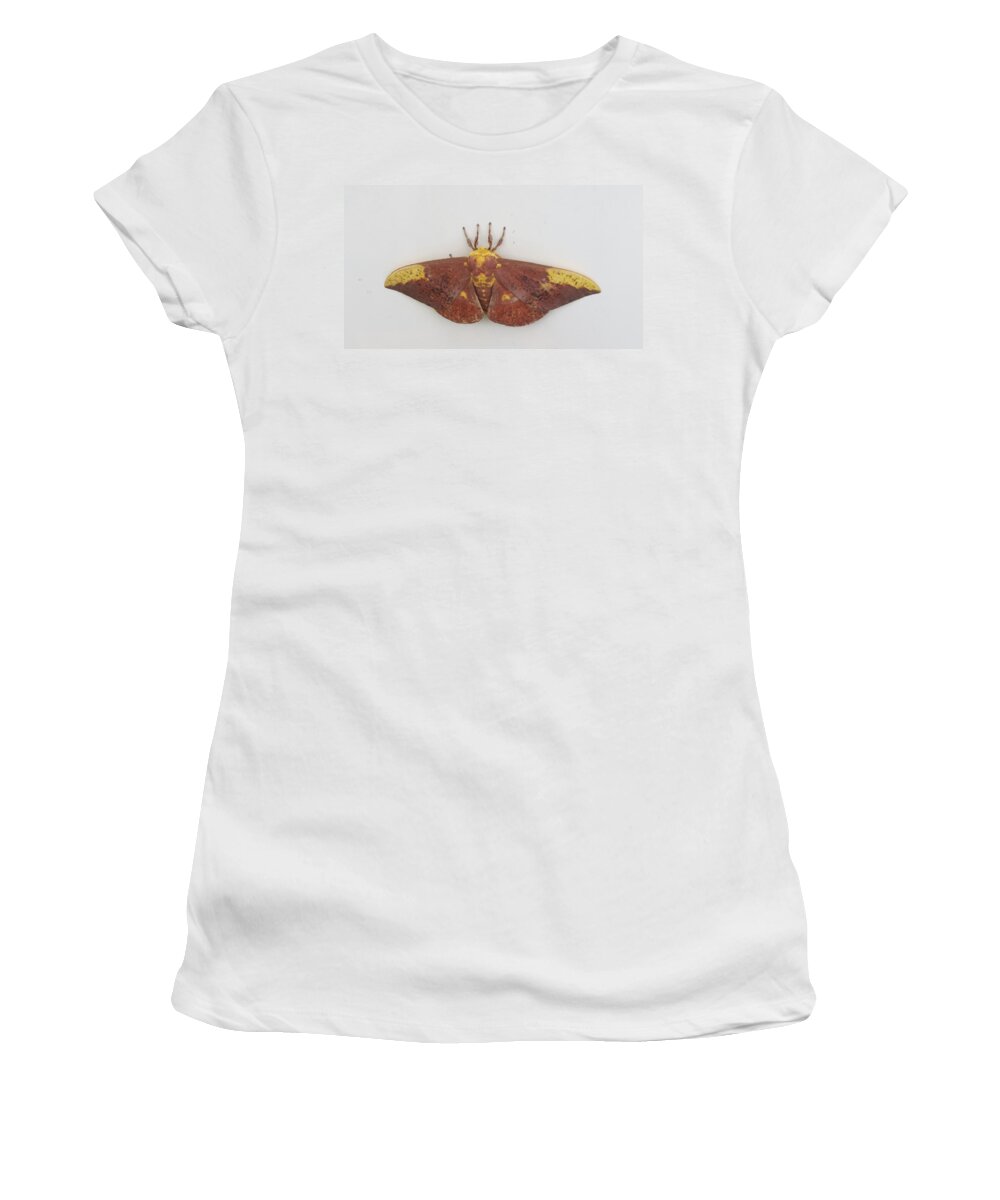 Natrue Women's T-Shirt featuring the photograph Magnificent Moth by Fortunate Findings Shirley Dickerson