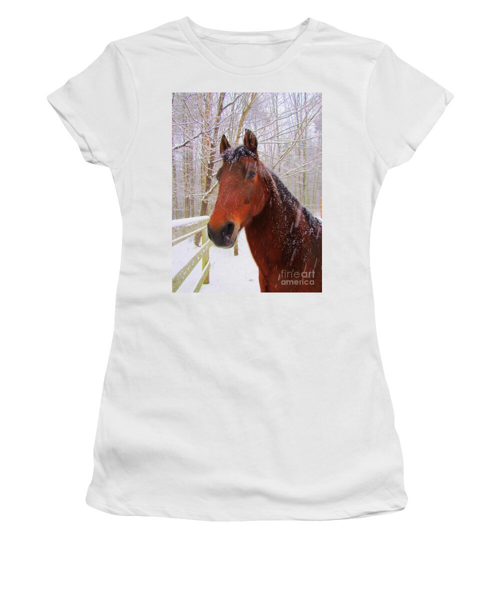 Morgan Horse Women's T-Shirt featuring the photograph Majestic Morgan Horse by Elizabeth Dow
