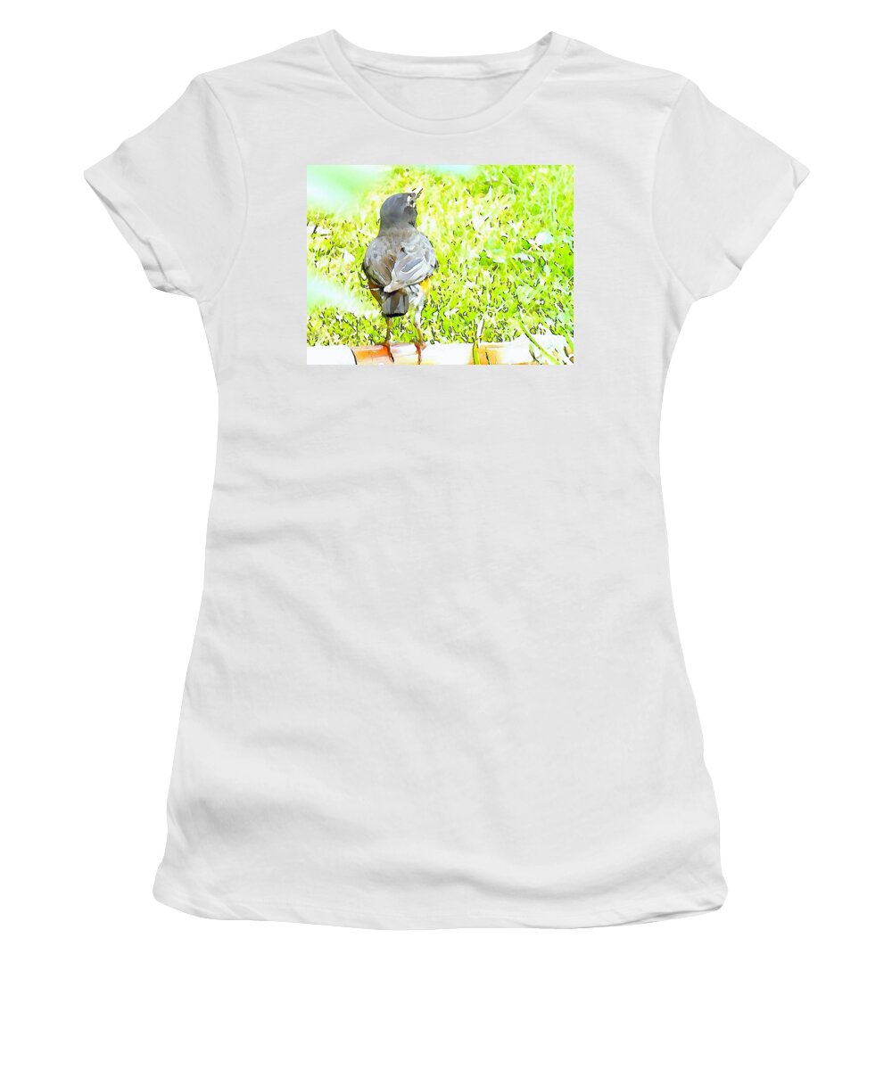 Mama Bird Women's T-Shirt featuring the painting Mama Bird by Robyn King