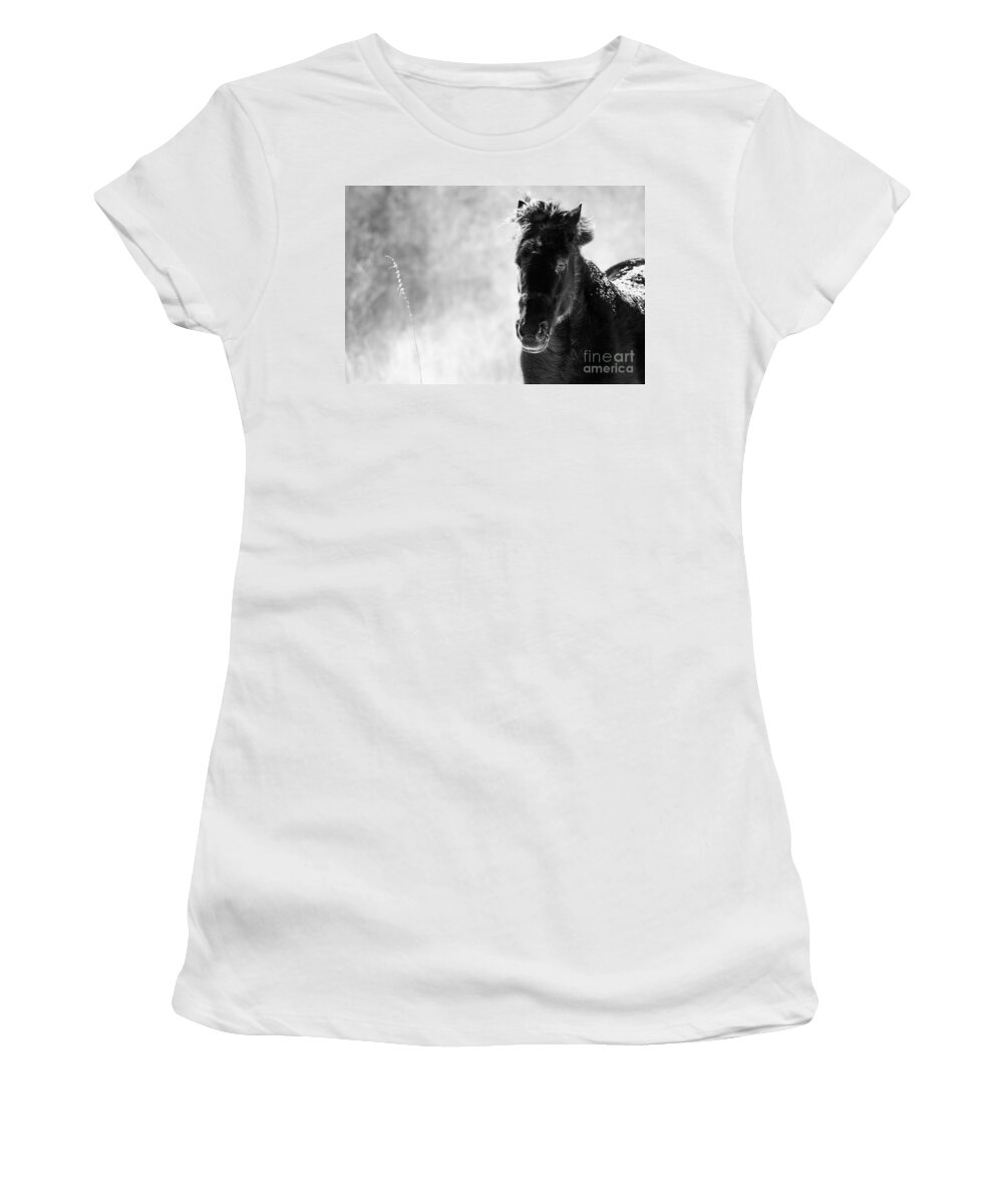 Landscape Women's T-Shirt featuring the photograph Mane Blown by Cheryl Baxter