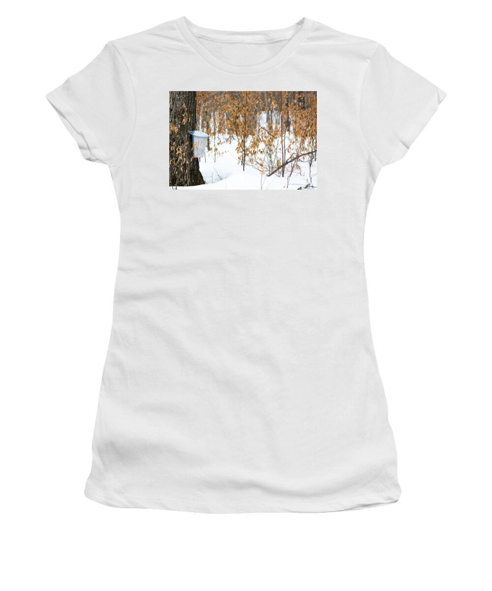 Landscape Women's T-Shirt featuring the photograph Maple Woods by Cheryl Baxter