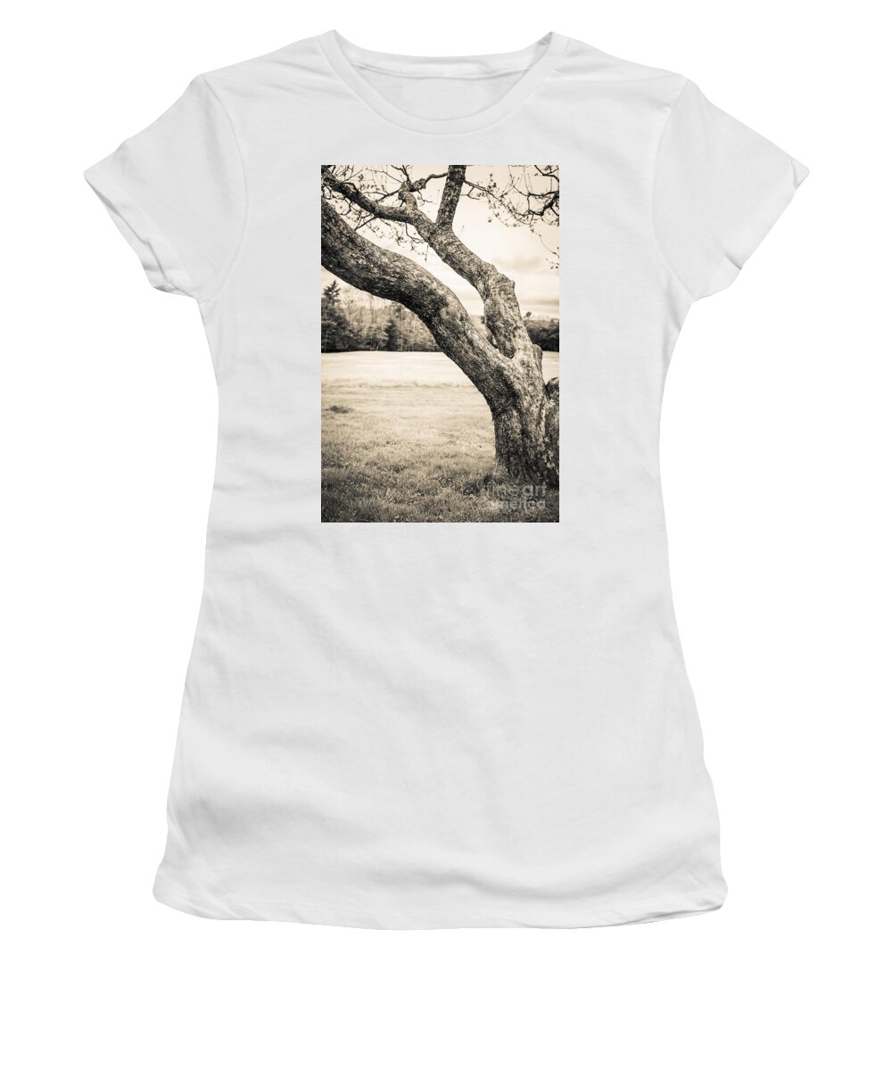 Cornish Women's T-Shirt featuring the photograph Meet me under the old apple tree by Edward Fielding