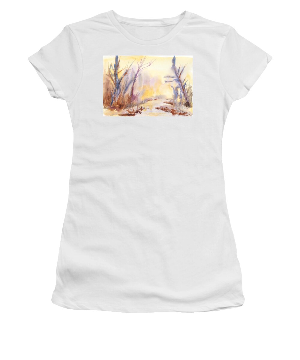 Watercolor Painting Women's T-Shirt featuring the painting Misty Creek by Walt Brodis