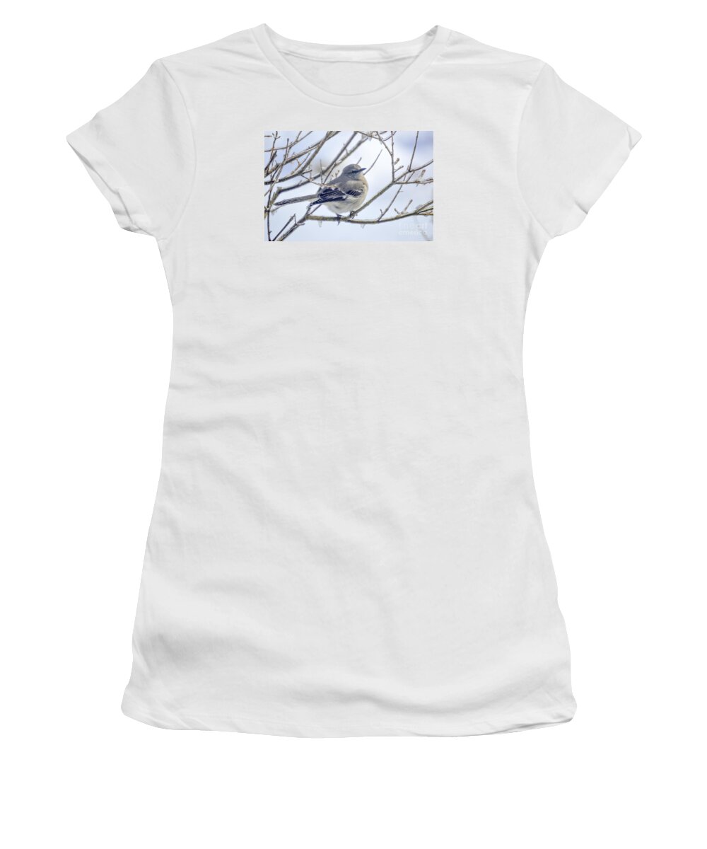 Tree Branches Women's T-Shirt featuring the photograph Mockingbird on Ice by Lynellen Nielsen