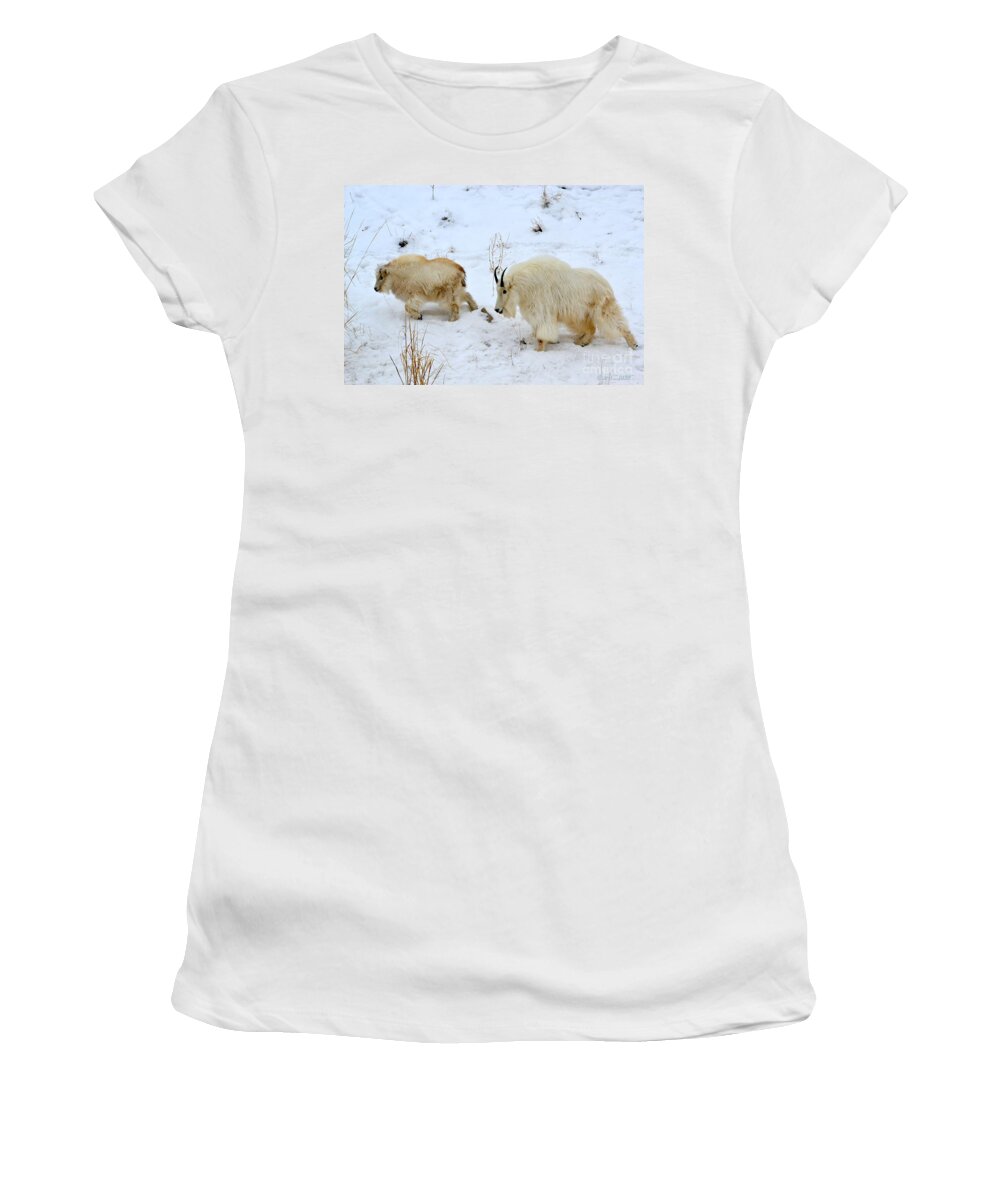 Mountain Goats Women's T-Shirt featuring the photograph Mother and Child by Dorrene BrownButterfield