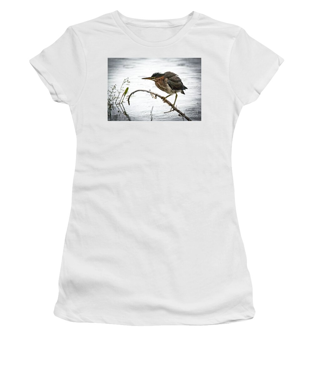 Green Heron Women's T-Shirt featuring the photograph Mr. Green Heron by Cheryl Baxter