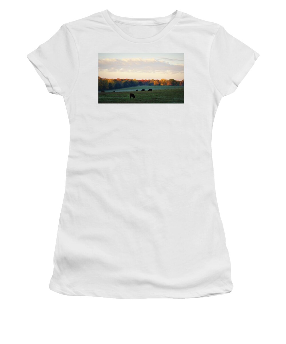 Cattle Women's T-Shirt featuring the photograph October Morning by Cricket Hackmann