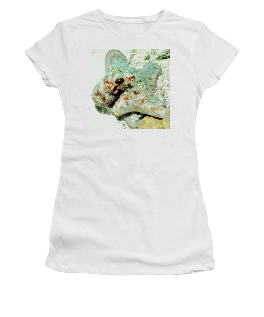 Nature Women's T-Shirt featuring the photograph Octopus on the Reef by Amy McDaniel