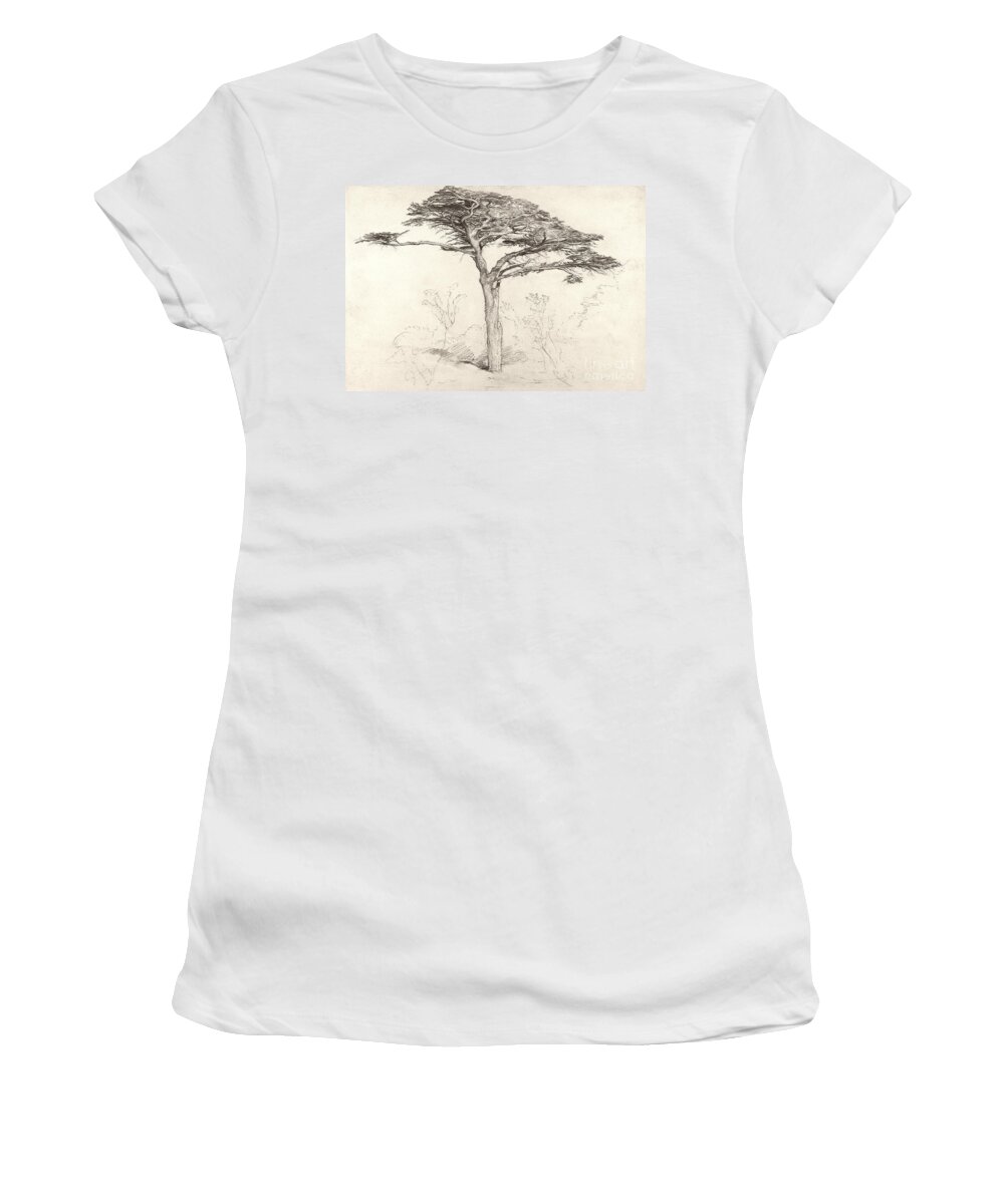 Drawing Women's T-Shirt featuring the drawing Old Cedar Tree in Botanic Garden Chelsea by Samuel Palmer