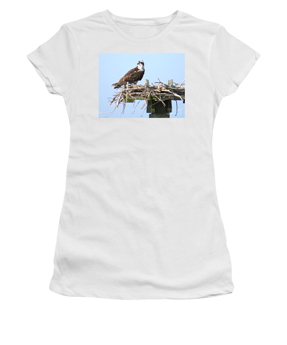 Osprey Women's T-Shirt featuring the photograph Osprey On The Chesapeake Bay by Nancy Patterson