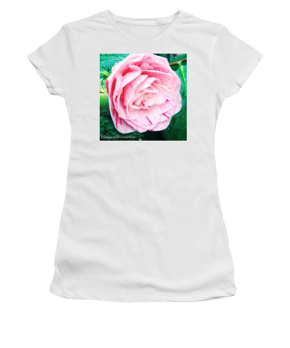 Ig_masterpiece Women's T-Shirt featuring the photograph Pale Pink Camelia From My Spring by Anna Porter