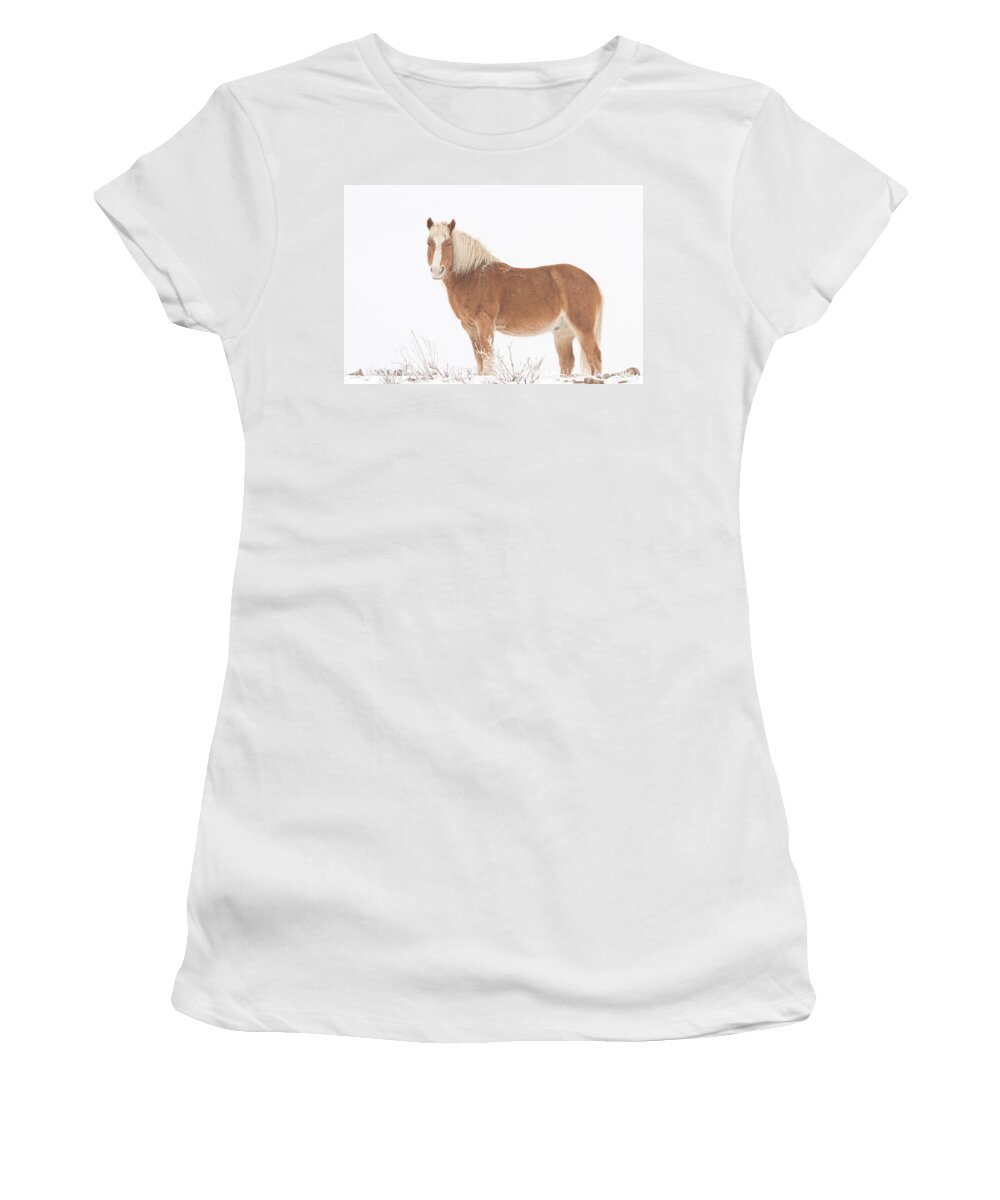 Palomino Women's T-Shirt featuring the photograph Palomino Horse in the Snow by James BO Insogna