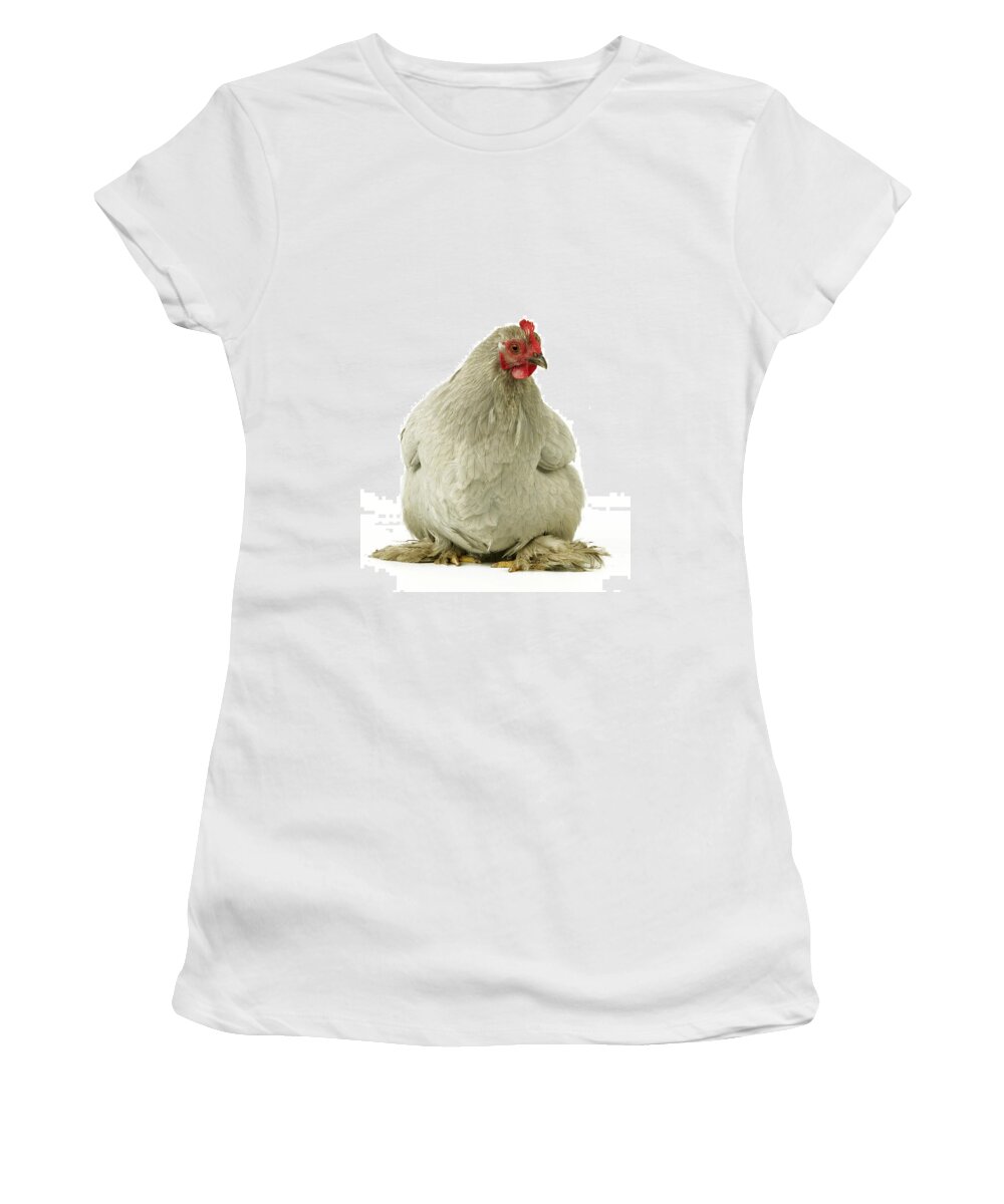 Chicken Women's T-Shirt featuring the photograph Pekin Chicken by Jean-Michel Labat