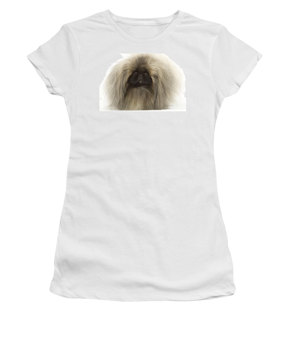 Dog Women's T-Shirt featuring the photograph Pekingese Dog by Jean-Michel Labat