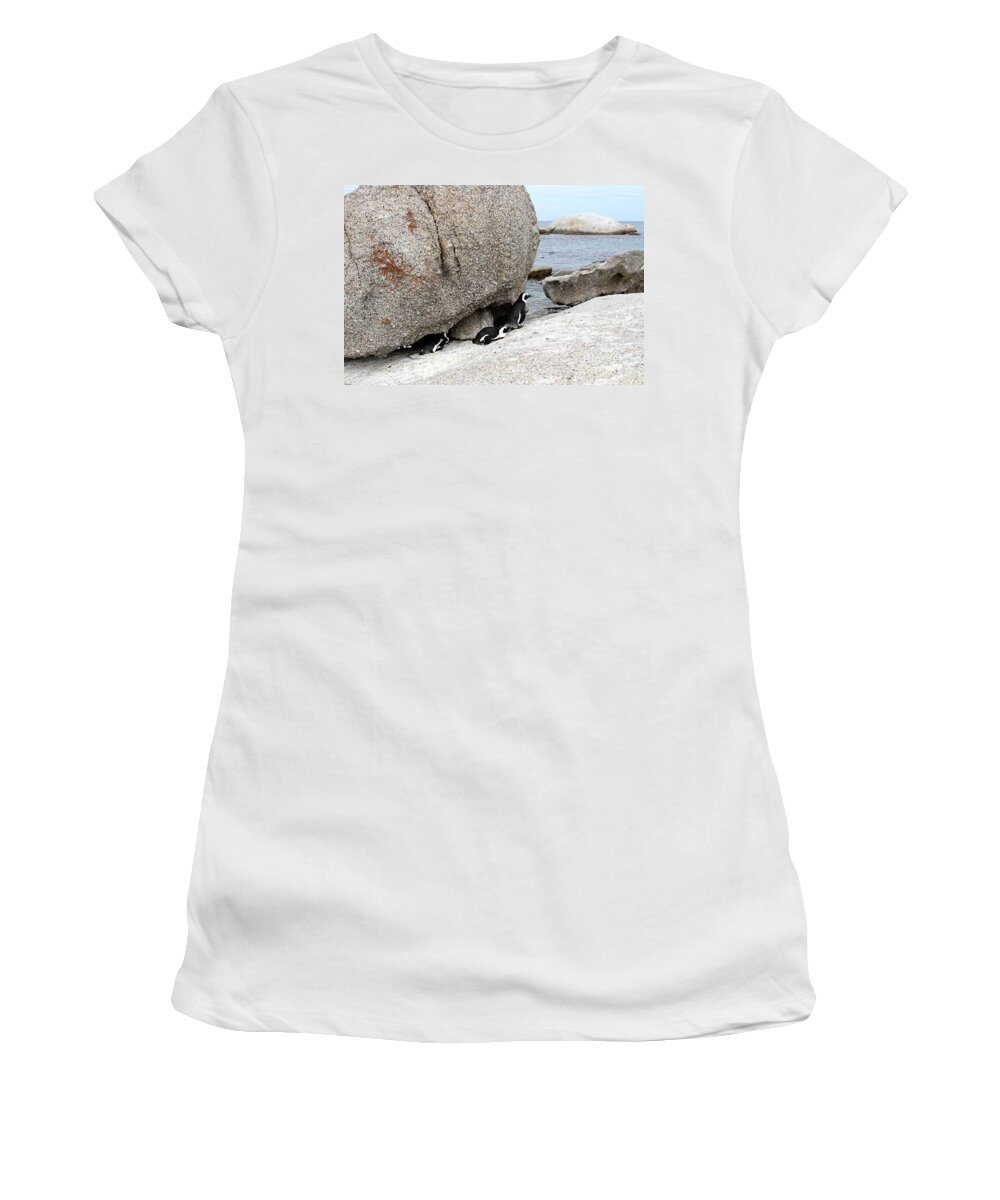 Penguins Women's T-Shirt featuring the photograph Penguins at Boulders Beach in South Africa by Catherine Sherman