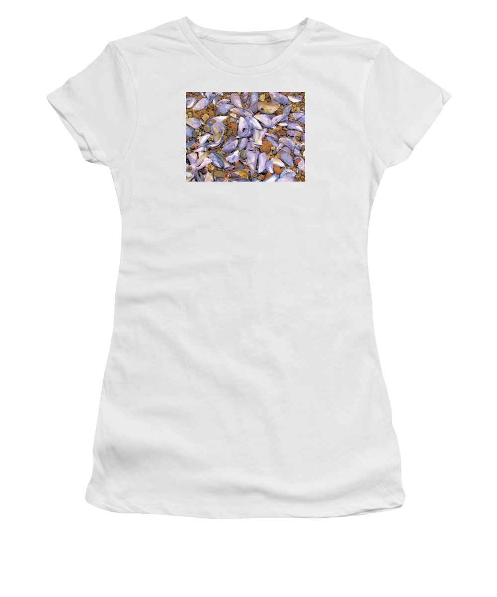 Shells Women's T-Shirt featuring the photograph Periwinkles Muscles and Clams by Elizabeth Dow