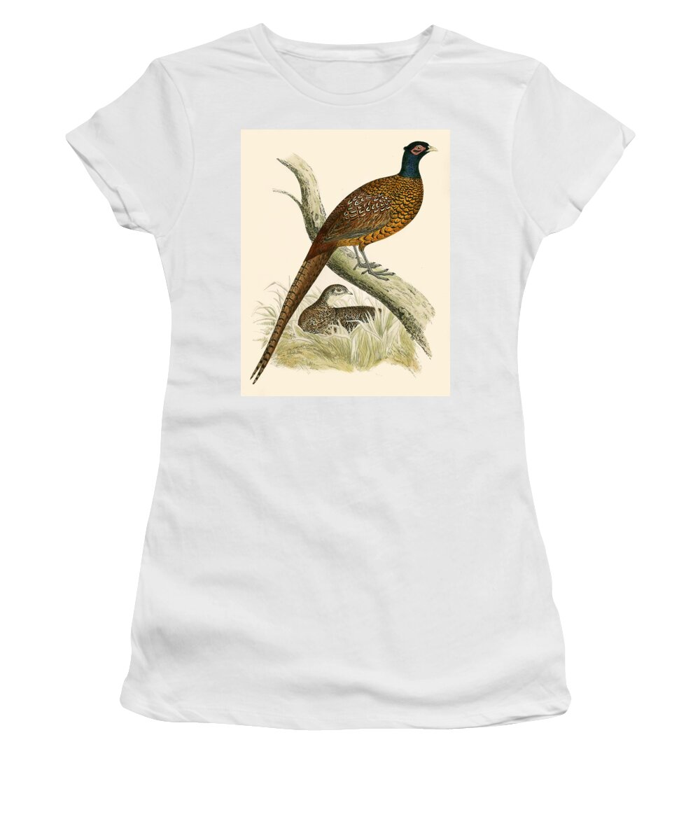 Birds Women's T-Shirt featuring the painting Pheasant by Beverley R Morris