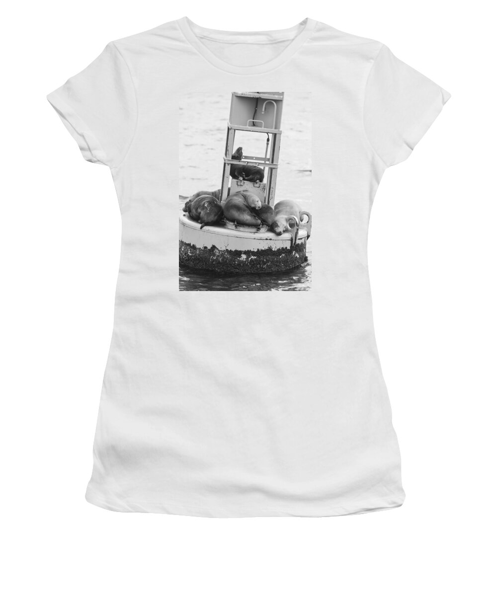 Seal Women's T-Shirt featuring the photograph Pit Stop Black and White by Scott Campbell