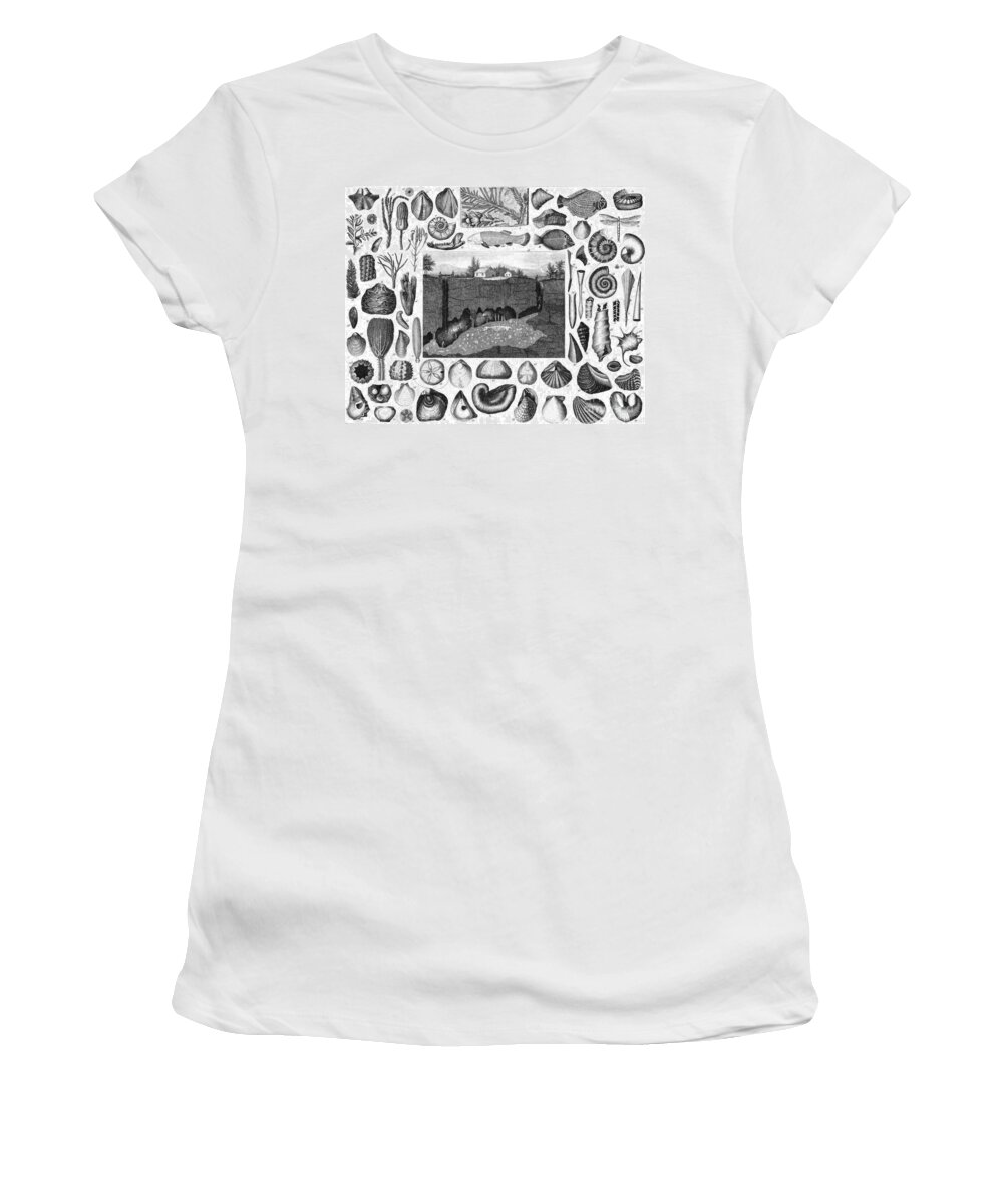 Prehistory Women's T-Shirt featuring the photograph Pliocene Epoch, Marine Fossils by Science Source