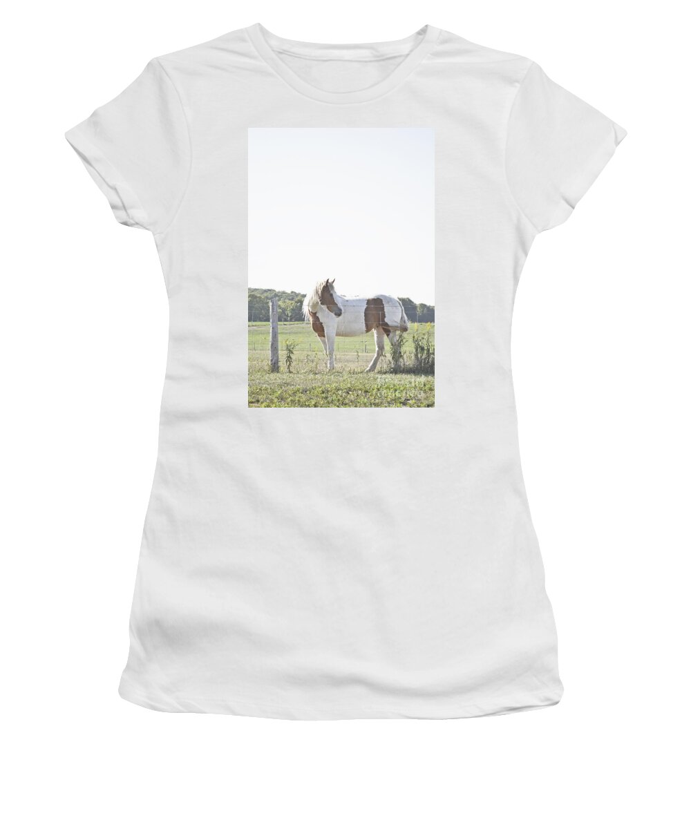 Pony Women's T-Shirt featuring the photograph Pony Pride by Traci Cottingham