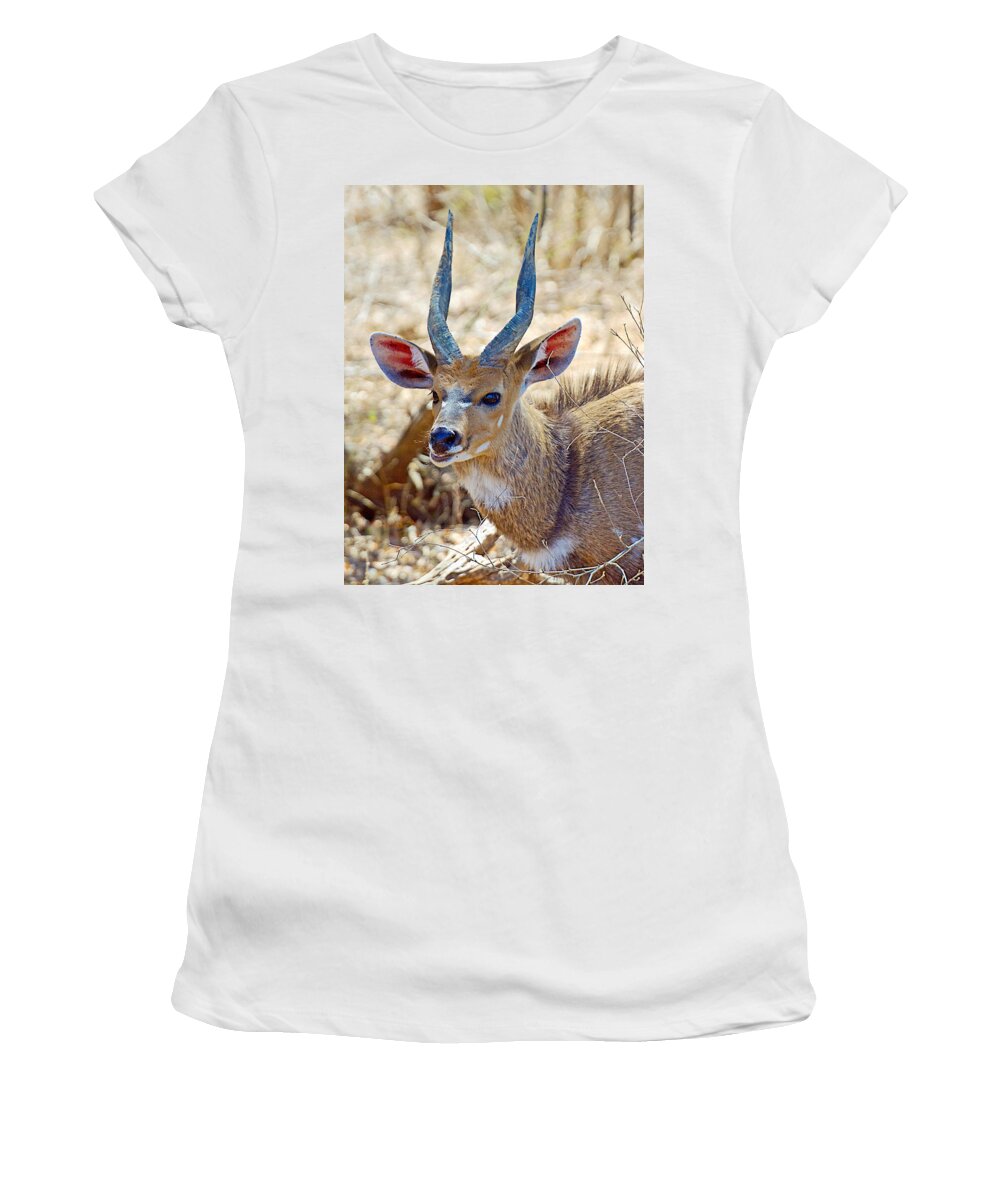 Portrait Of A Bushbuck In Kruger National Park Women's T-Shirt featuring the photograph Portrait of a Bushbuck in Kruger National Park-South Africa by Ruth Hager