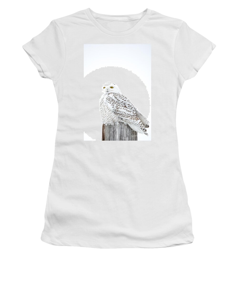 Field Women's T-Shirt featuring the photograph Portrait Style Snowy by Cheryl Baxter