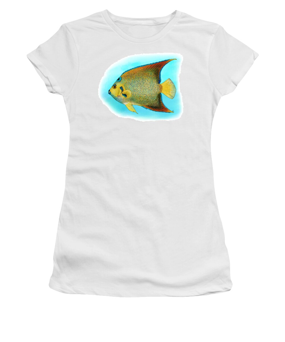 Illustration Women's T-Shirt featuring the photograph Queen Angelfish by Roger Hall
