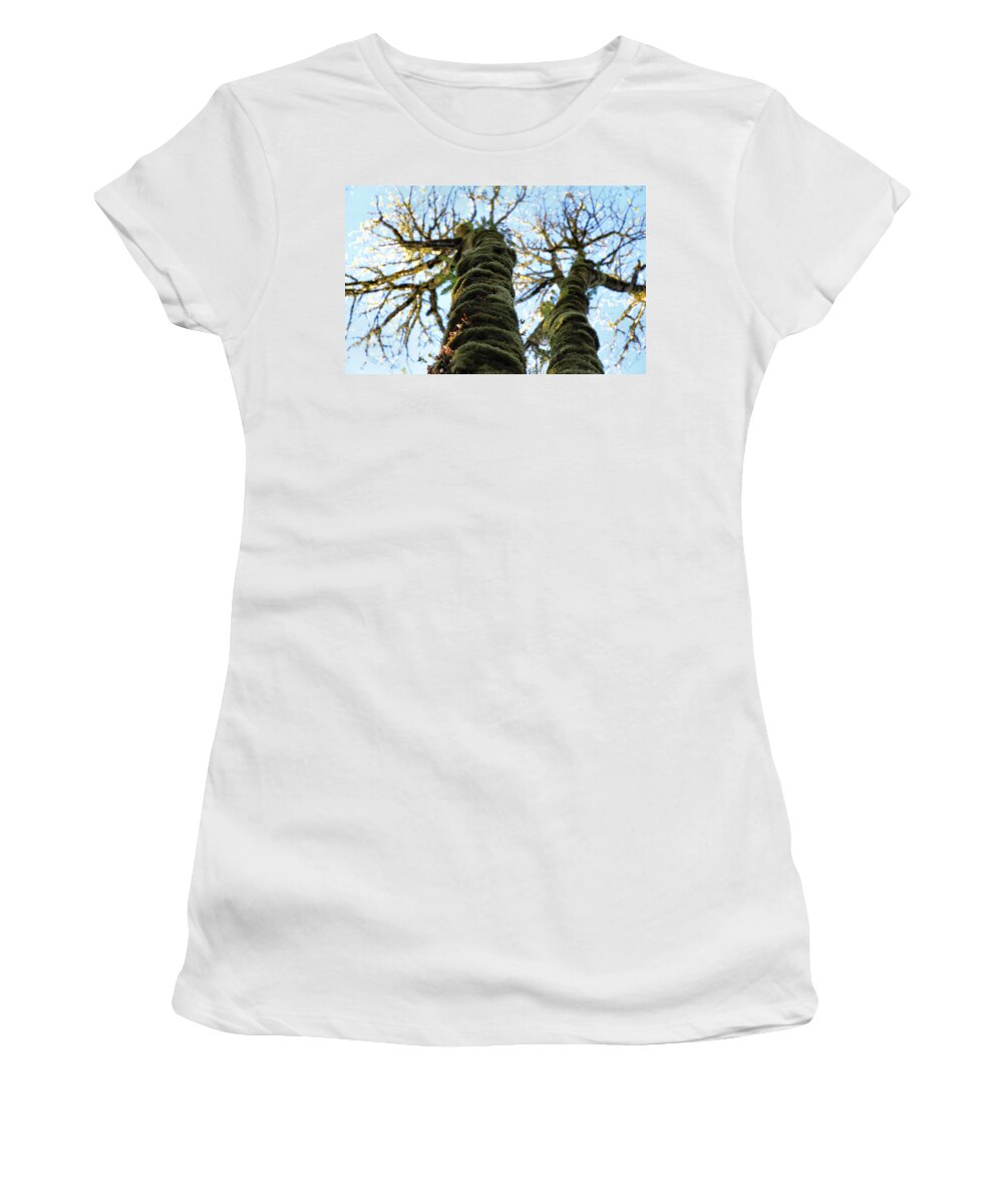 Trees Women's T-Shirt featuring the photograph Reaching Towards Heaven by Rory Siegel