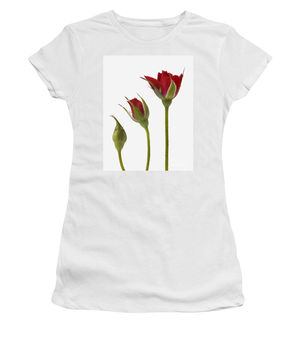 Red Rose Flower Women's T-Shirt featuring the photograph Red Rose Flower Opening Sequence by Mark Bowler