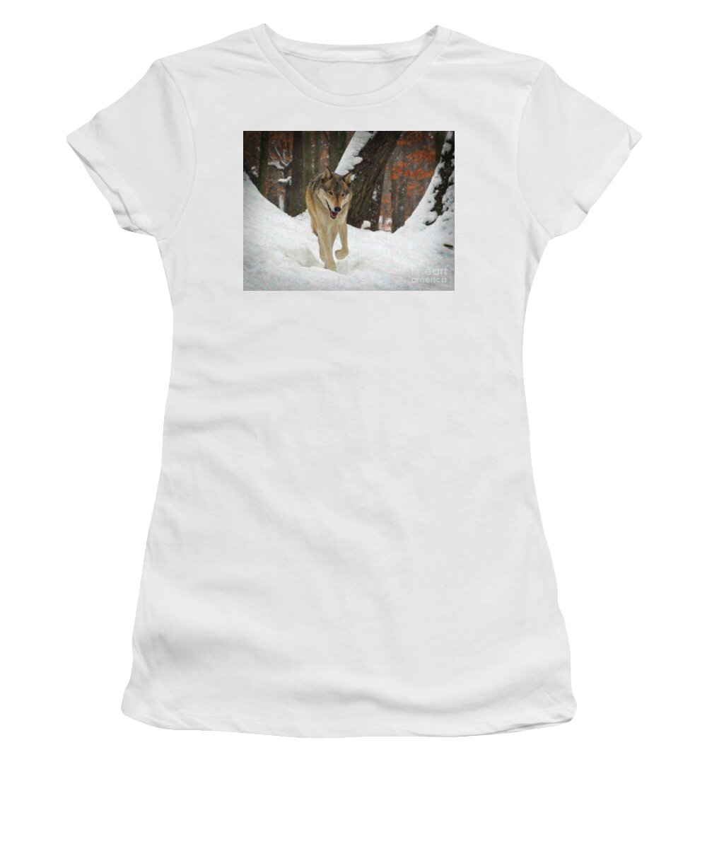 Animals Women's T-Shirt featuring the digital art Red Wolf on a Winter Hunt by Lianne Schneider